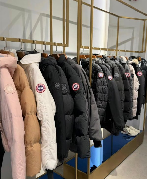 上万元加拿大鹅三亚仅6900元