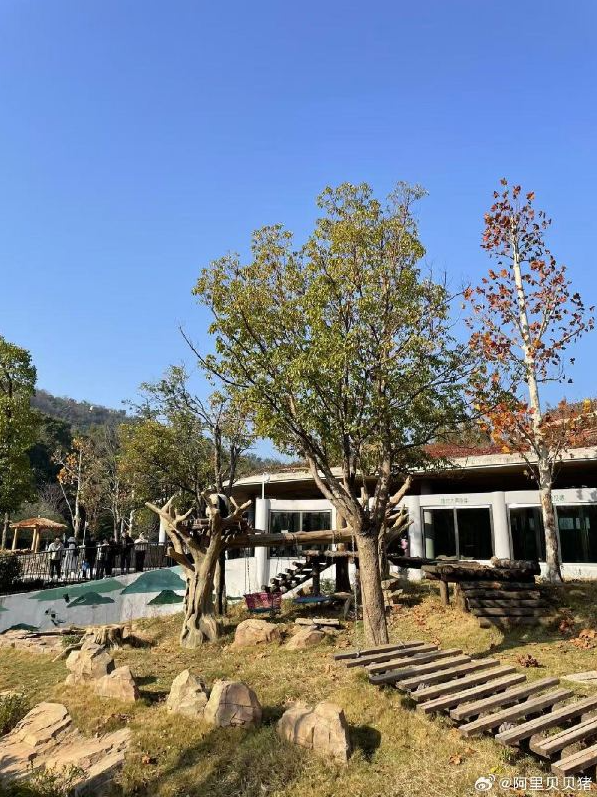 李在明希望再租借一对熊猫