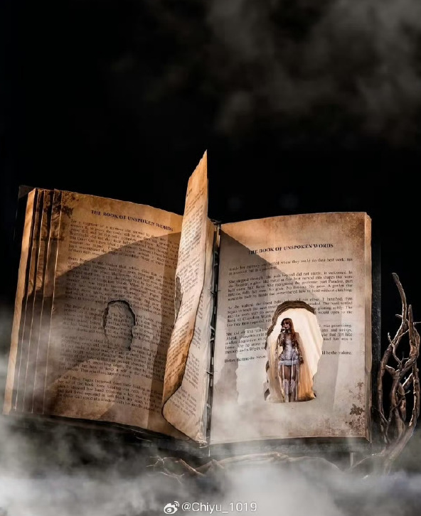 蔡依林演唱会被举报